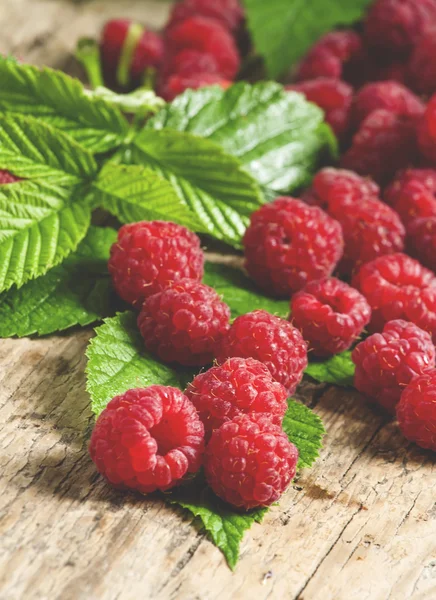 Fresh ripe raspberries with large leaves — Stock Photo, Image