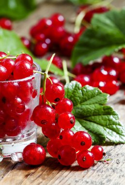 Cam yaprakları ile taze kırmızı kuş üzümü 