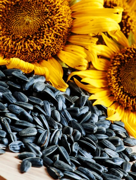 Slunečnice semena na dřevěném pozadí — Stock fotografie