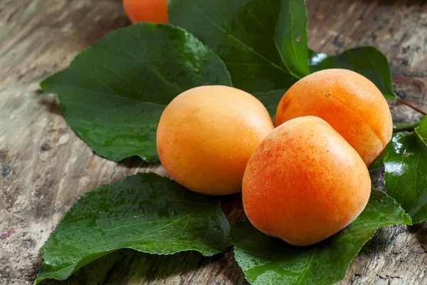 Ripe tasty apricots with green leaves — Stock Photo, Image