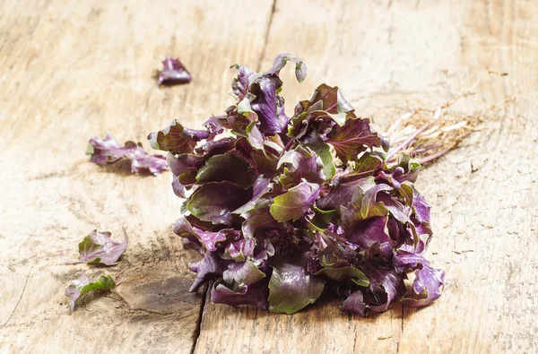 Purple basil on a wooden table