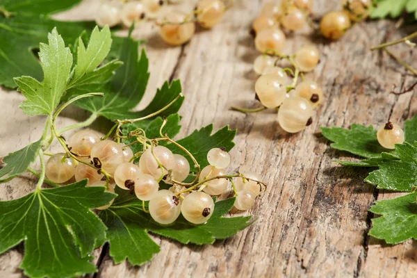 Weiße Johannisbeeren mit Blättern — Stockfoto