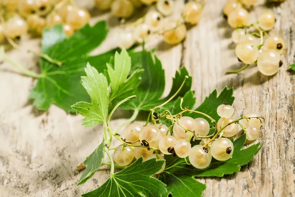 Weiße Johannisbeeren mit Blättern — Stockfoto