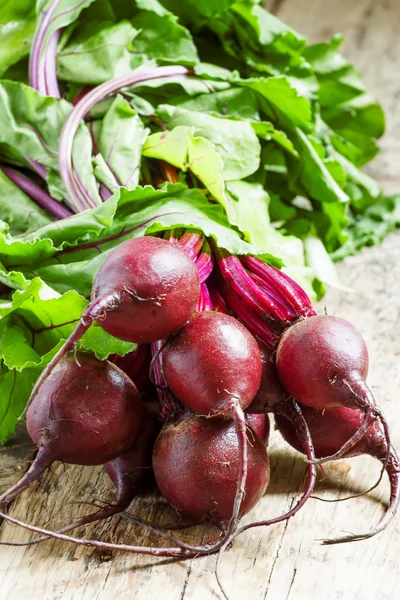 Bunch of fresh organic beets — Stock Photo, Image