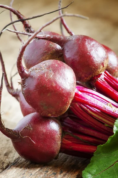 Bunch of fresh organic beets — Stock Photo, Image