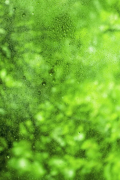 Gouttes de pluie sur verre, fond vert naturel — Photo