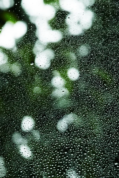 Σταγόνες βροχής σε γυαλί, φυσικό πράσινο φόντο — Φωτογραφία Αρχείου