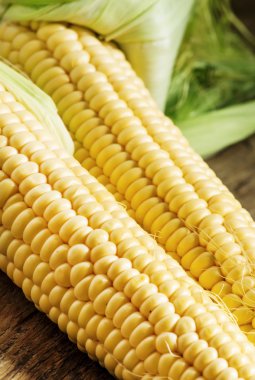 Taze sulu organik mısır