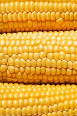 Olgun sarı mısır, üstten görünüm