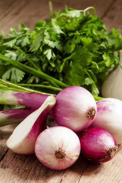 Färska ekologiska röd lök med stjälkarna — Stockfoto