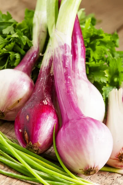 Fresh organic red onions with the stems — Stock Photo, Image