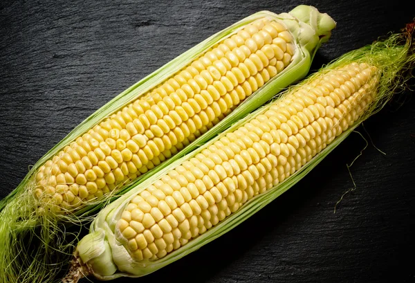 Fresh juicy organic corn — Stock Photo, Image