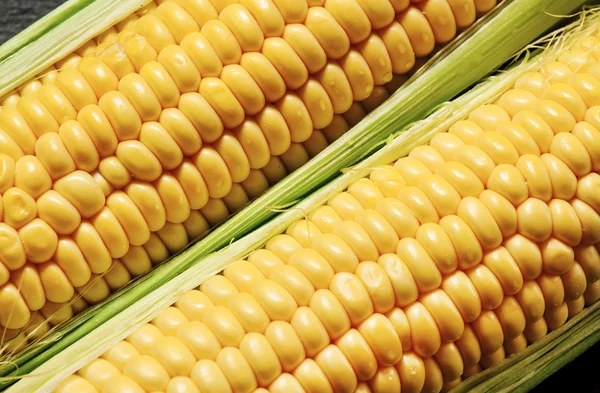 Ripe yellow corn, top view — Stock Photo, Image