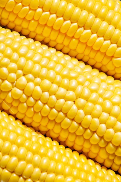 Ripe yellow corn, top view — Stock Photo, Image