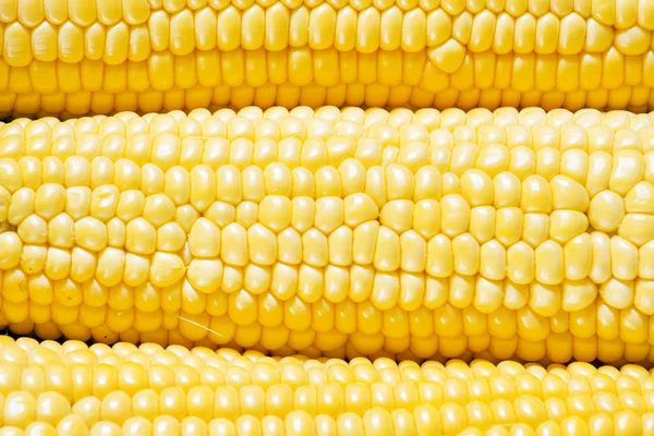 Ripe yellow corn, top view — Stock Photo, Image