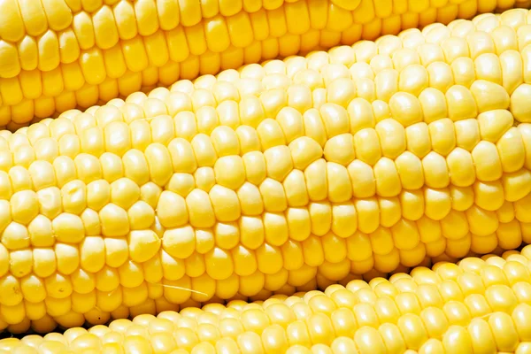 Ripe yellow corn, top view — Stock Photo, Image