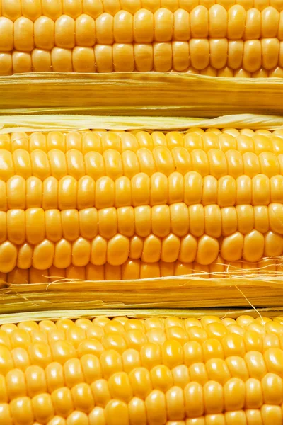 Dojrzałe, żółty kukurydza, widok z góry — Zdjęcie stockowe