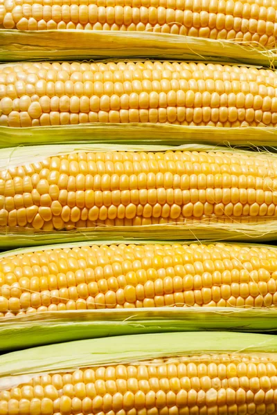 Ripe yellow corn, top view — Stock Photo, Image