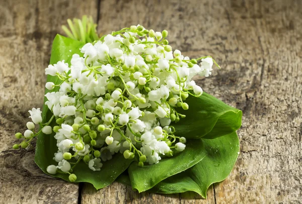 Vackra liljekonvaljer på ett träbord — Stockfoto