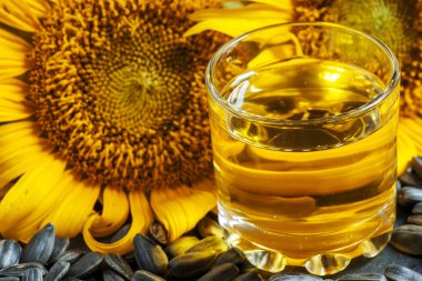 Bir bardak taze ayçiçeği yağı