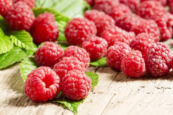 Fresh ripe raspberries with large leaves — Stock Photo, Image