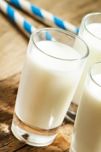 Tres vasos de leche fresca — Foto de Stock