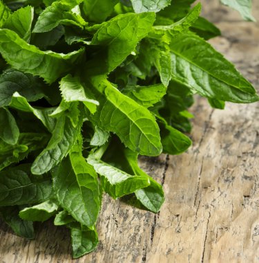 Eski ahşap masa taze nane