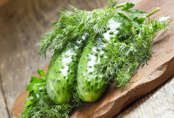 Frische Gurken mit Petersilie und Dill — Stockfoto