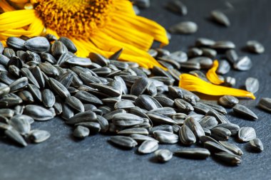 Ayçiçeği tohumu ve çiçek