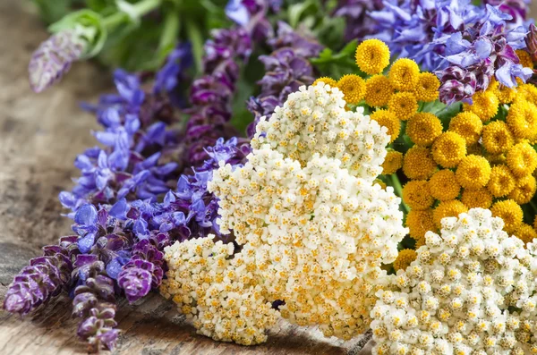 Buquê de ervas e flores silvestres — Fotografia de Stock