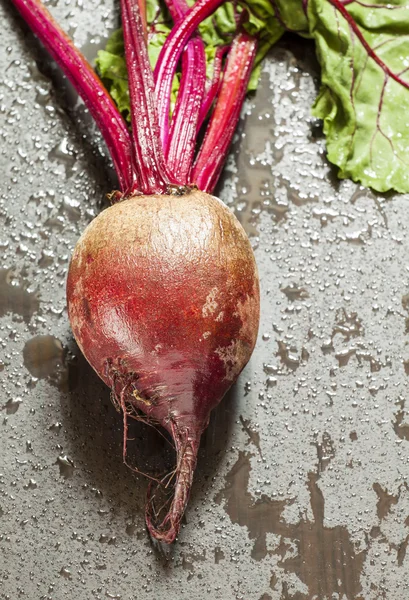 Fresh organic beetroot — Stock Photo, Image