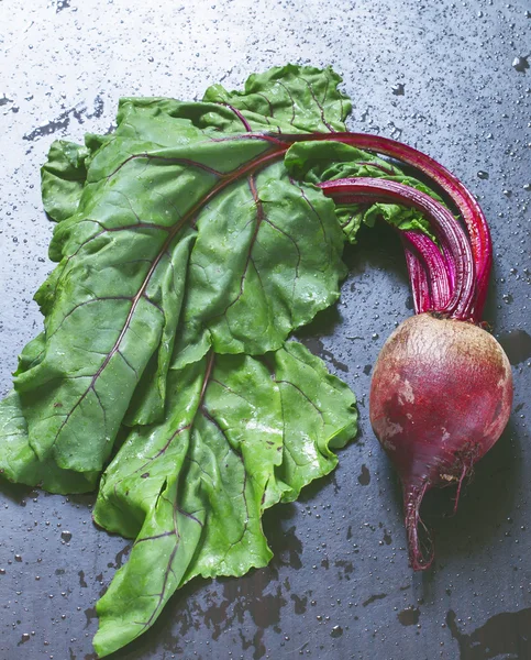 Świeże buraki organicznych — Zdjęcie stockowe