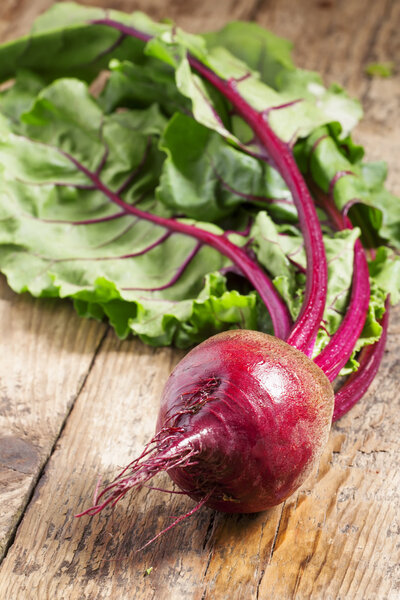Fresh organic beetroot with tops