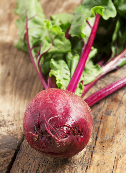 Fresh organic beetroot with tops