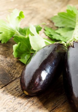 Üstleri ile küçük patlıcan 