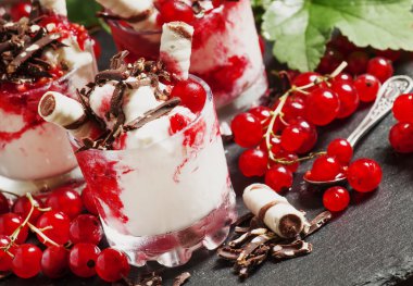 vanilyalı dondurma ile kırmızı kuş üzümü