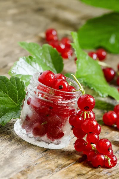 Frische rote Johannisbeeren mit Blättern — Stockfoto