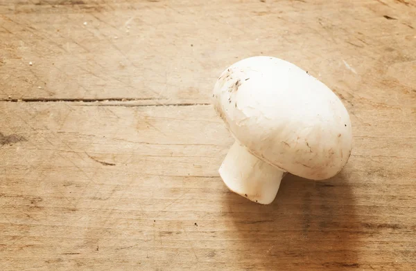 Champiñón fresco en una tabla de madera —  Fotos de Stock