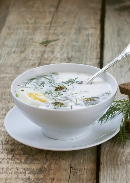 Sorrel soup with meat and eggs — Stock Image Sorrel soup with meat and eggs Stock Image