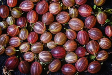 Olgun kırmızı bektaşi üzümü