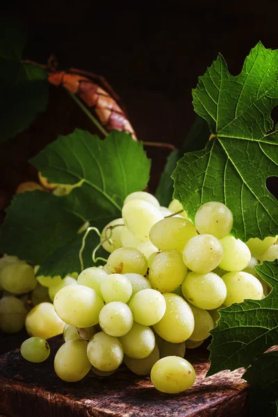 Yaprakları, vintage ahşap arka plan ile yeşil üzüm