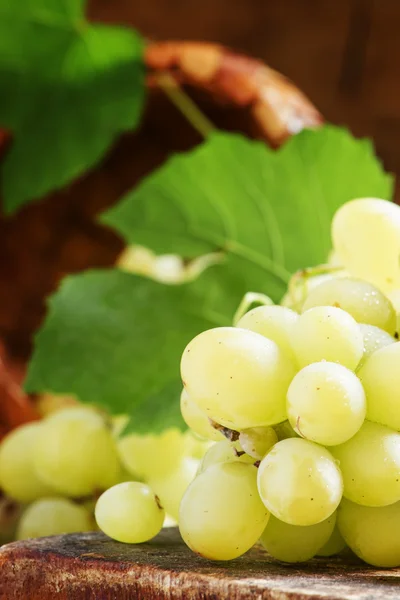 Groene druiven met bladeren, vintage houten achtergrond — Stockfoto