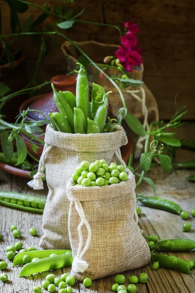 Groene erwten, selectieve aandacht — Stockfoto