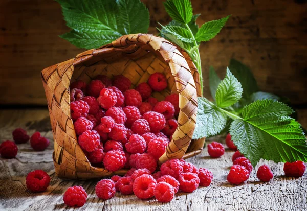 Fresh raspberries in wicker basket — Stock Photo, Image