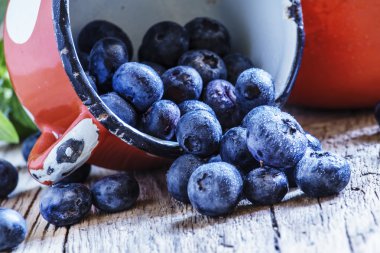 Taze yaban mersini, seçici odak