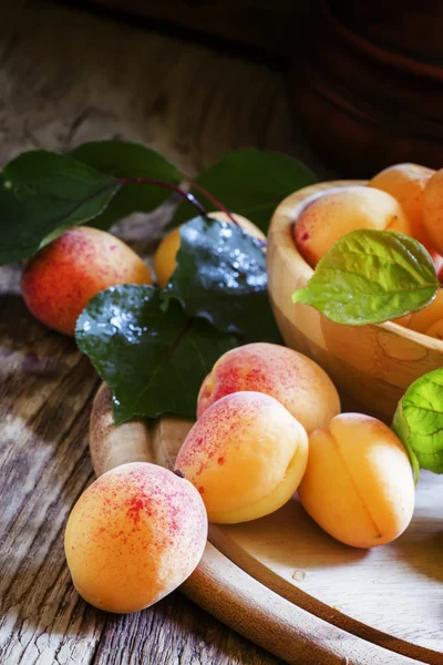 Frische Aprikosen, selektiver Fokus — Stockfoto