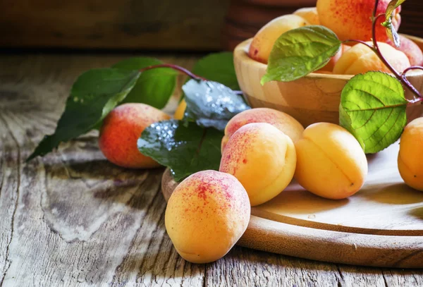 Frische Aprikosen, selektiver Fokus — Stockfoto