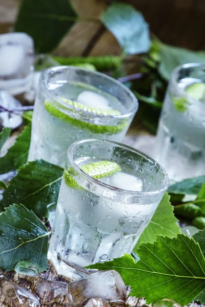 Birch icy vodka — Stock Image Birch icy vodka Stock Photo