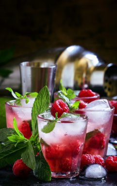 Ahududu mojito alkollü kokteyl