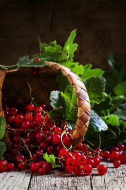 Frenk üzümü, karanlık vintage ahşap arka plan